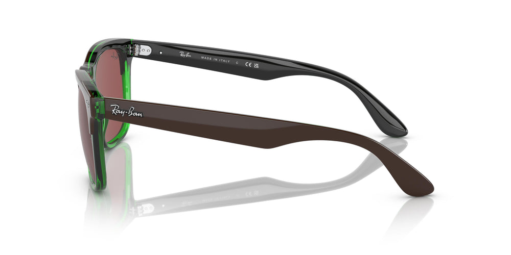 Ray-Ban RB4487 STEVE 663469 54