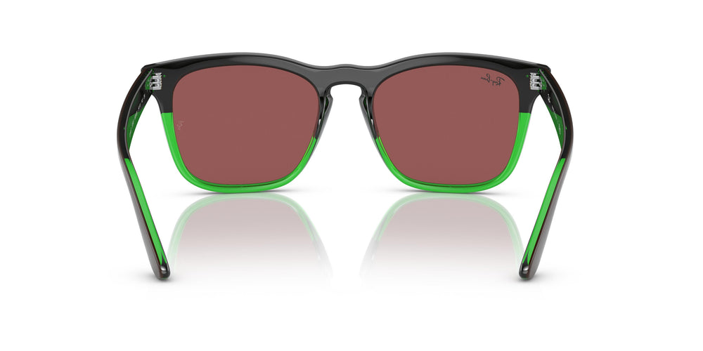 Ray-Ban RB4487 STEVE 663469 54
