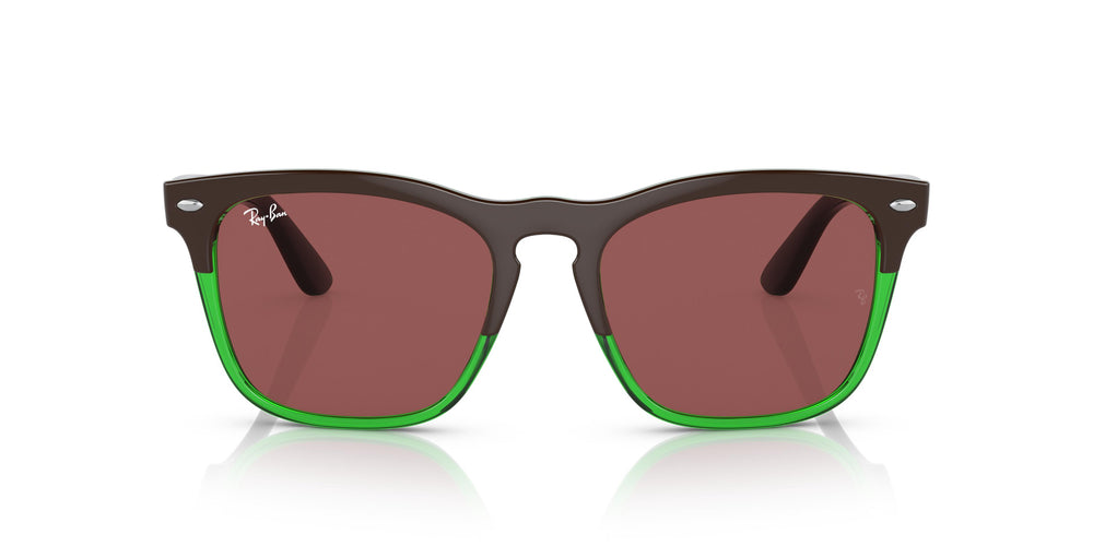 Ray-Ban RB4487 STEVE 663469 54