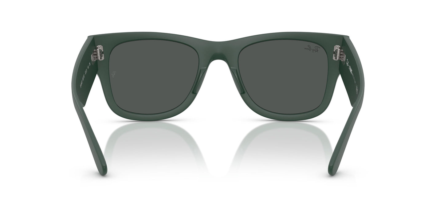 Ray-Ban RB4840S 665787 50