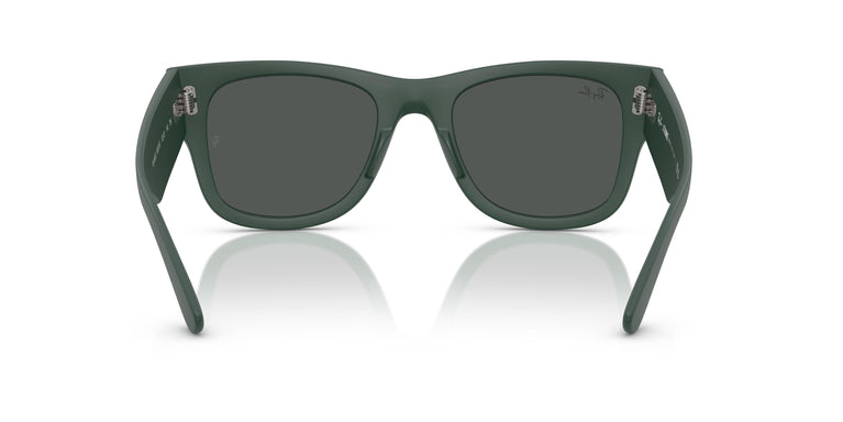 Ray-Ban RB4840S 665787 50