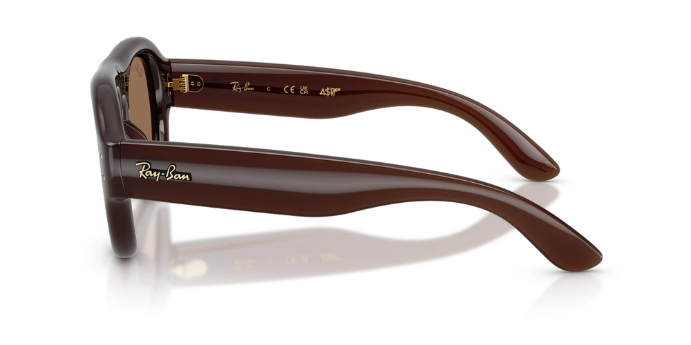 Ray-Ban RB4925 689673 52