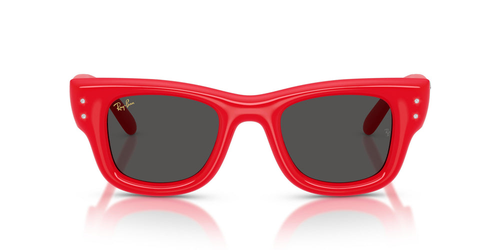 Ray-Ban RB4940B WAYFARER PUFFER 686187 47