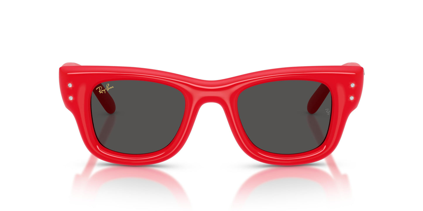 Ray-Ban RB4940B WAYFARER PUFFER 686187 47