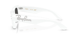 Ray-Ban RB4940B WAYFARER PUFFER 686387 47