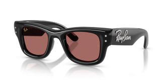 Ray-Ban RB4940B WAYFARER PUFFER 686485 47