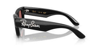 Ray-Ban RB4940B WAYFARER PUFFER 686485 47