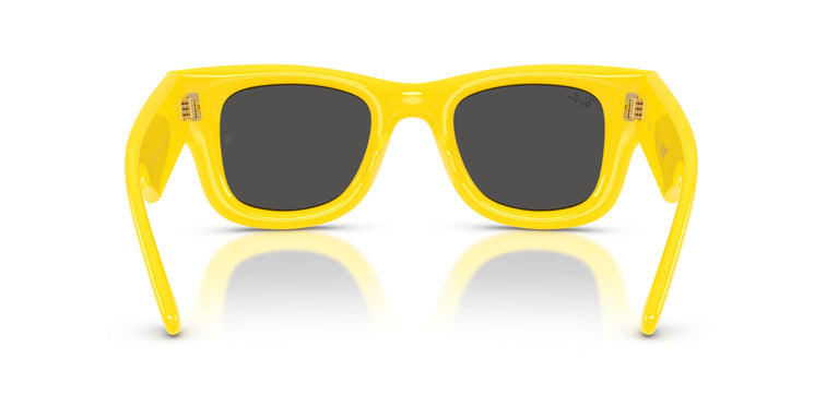 Ray-Ban RB4940 WAYFARER PUFFER 683087 47
