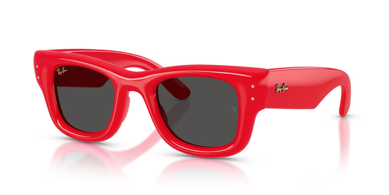 Ray-Ban RB4940 WAYFARER PUFFER 683187 47