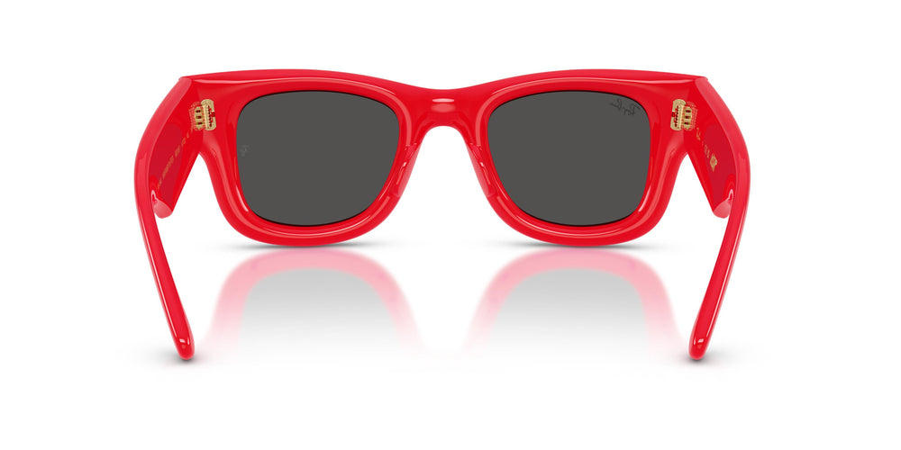 Ray-Ban RB4940 WAYFARER PUFFER 683187 47