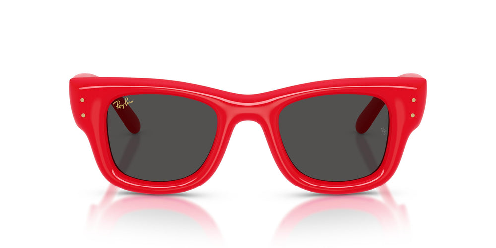 Ray-Ban RB4940 WAYFARER PUFFER 683187 47