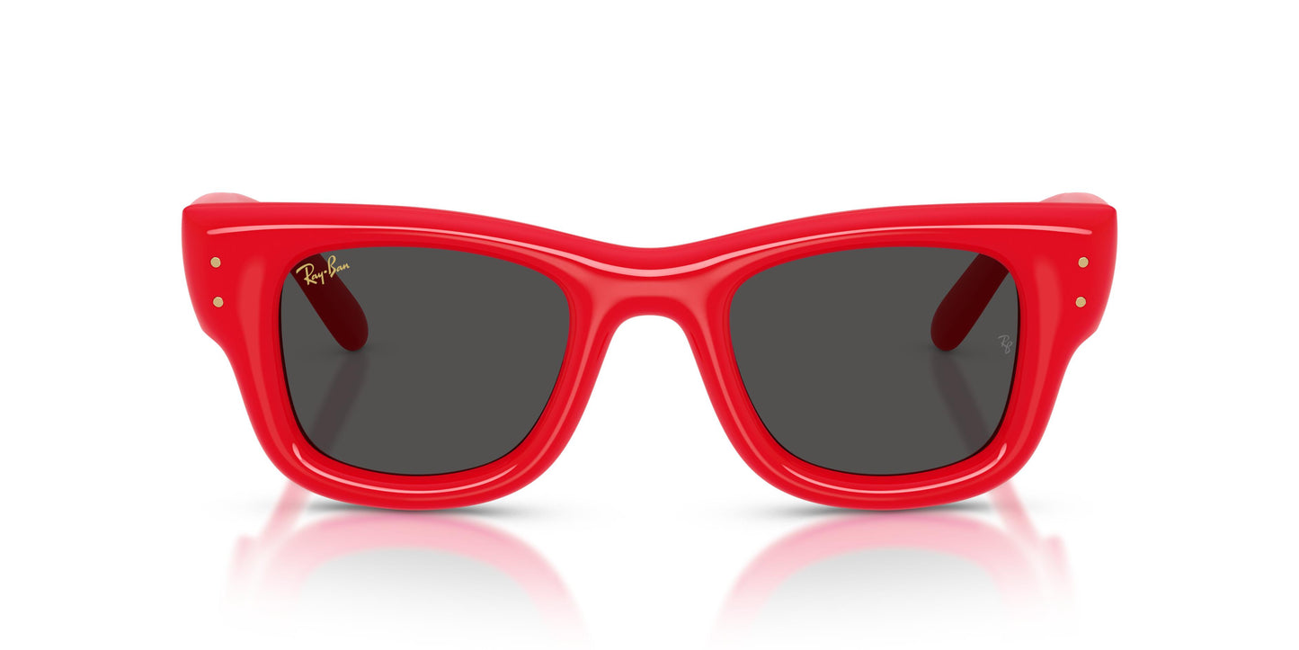 Ray-Ban RB4940 WAYFARER PUFFER 683187 47