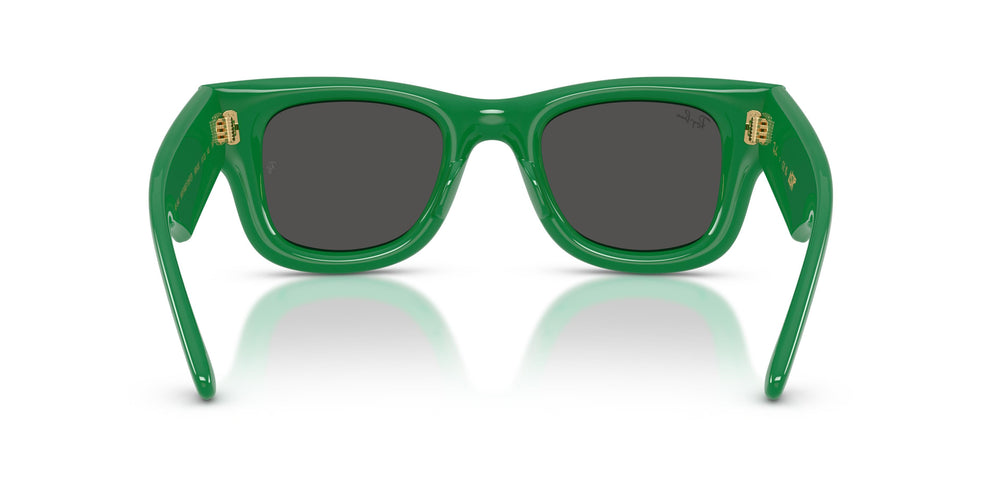 Ray-Ban RB4940 WAYFARER PUFFER 683487 47