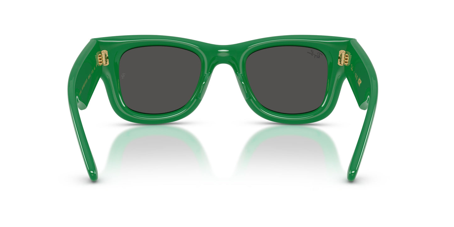 Ray-Ban RB4940 WAYFARER PUFFER 683487 50