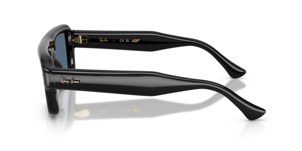 Ray-Ban RB4954 601/80 54