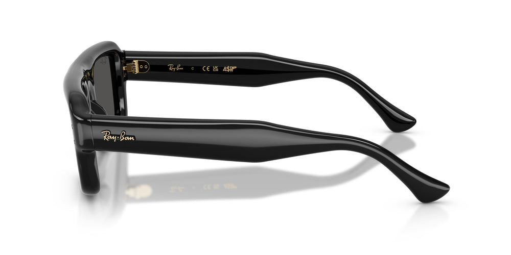Ray-Ban RB4954 601/87 54