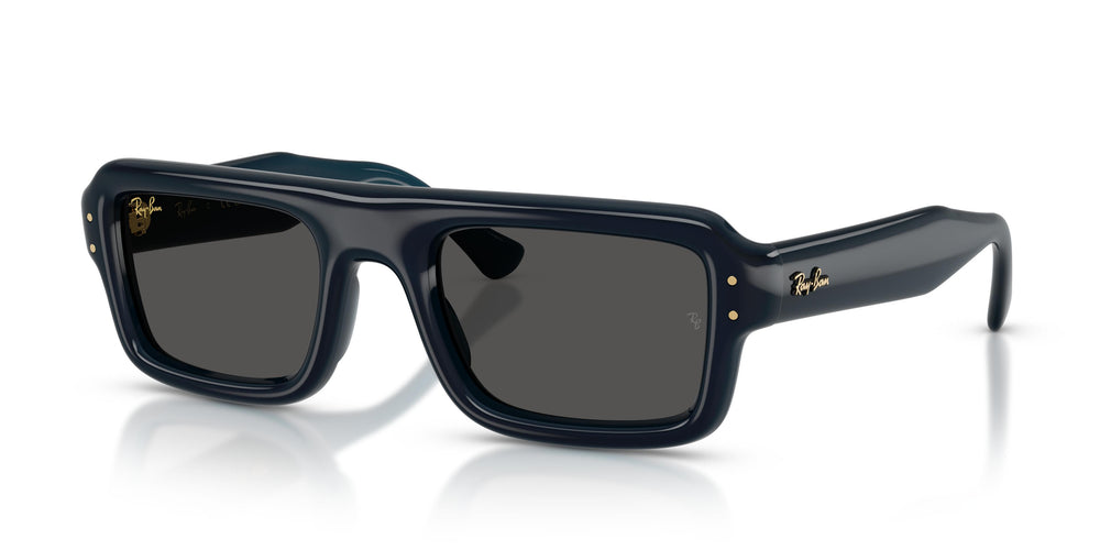 Ray-Ban RB4954 689587 54