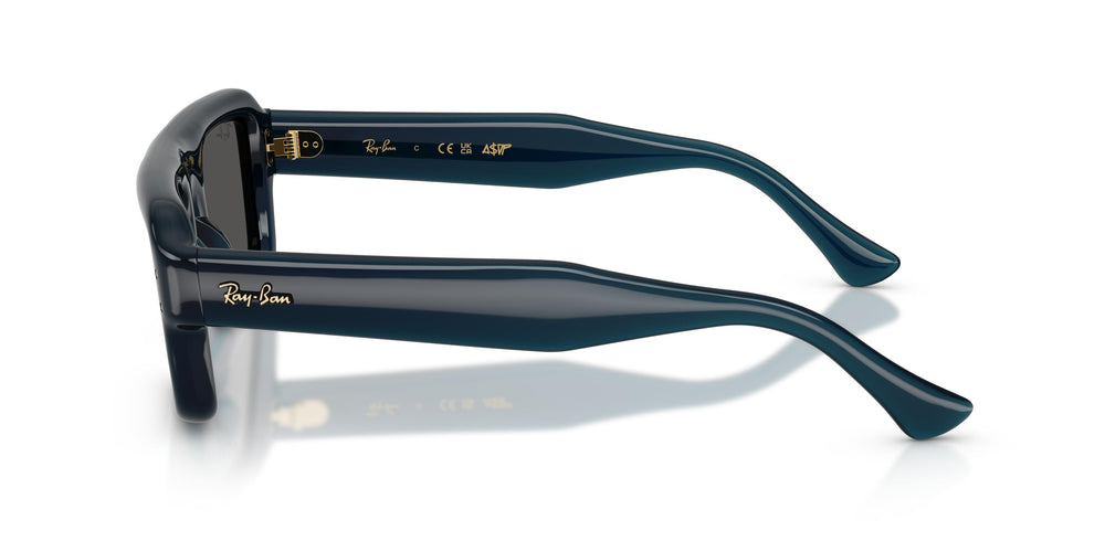 Ray-Ban RB4954 689587 54