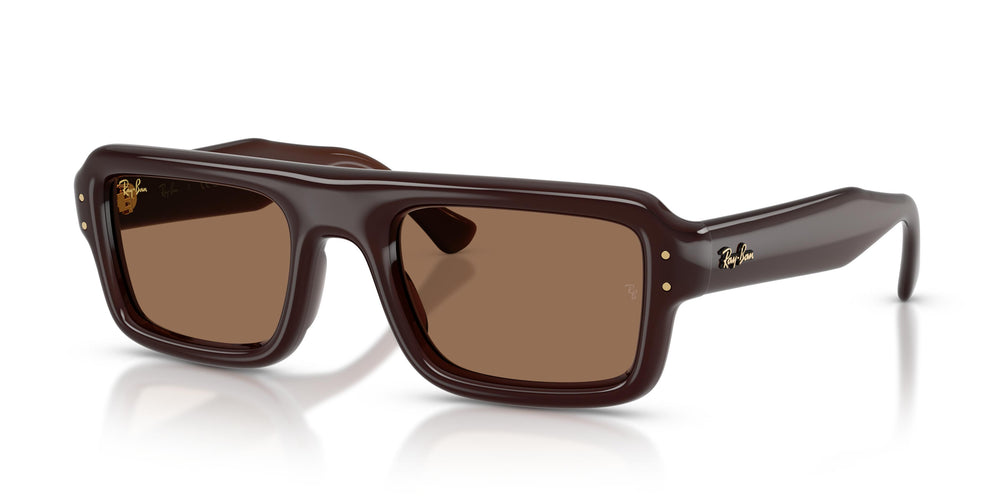 Ray-Ban RB4954 689673 54