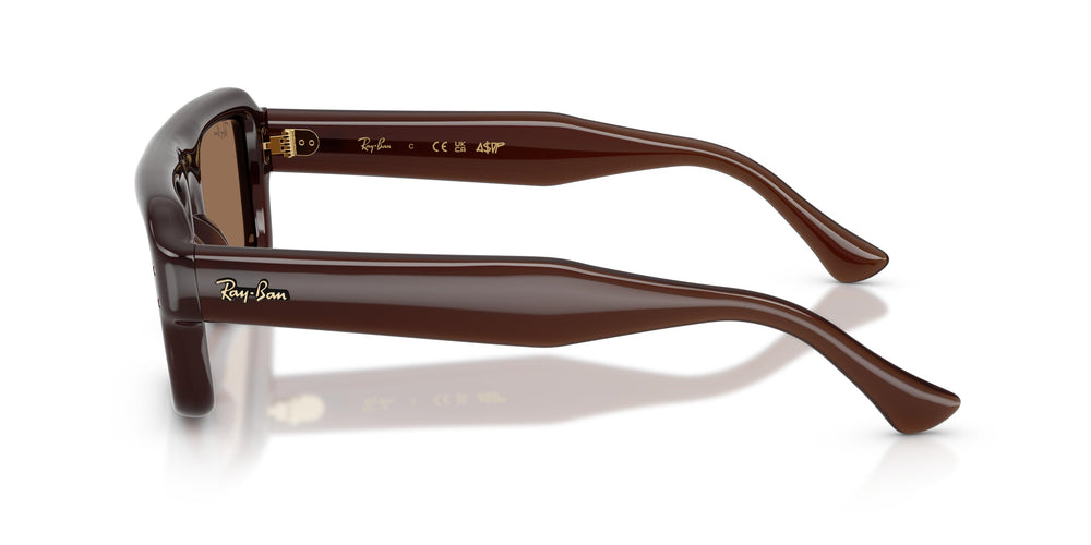 Ray-Ban RB4954 689673 52