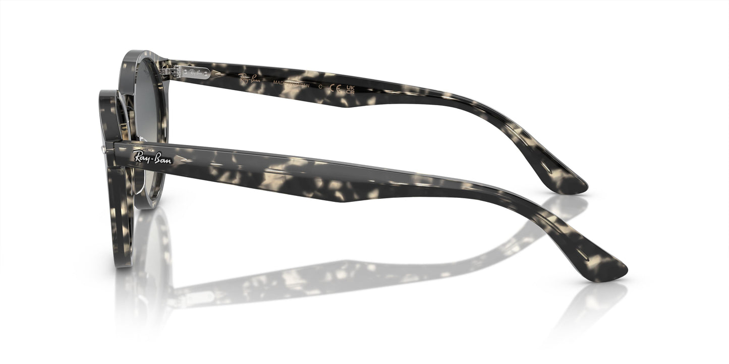 Ray-Ban RB7680S LARRY 133371 49