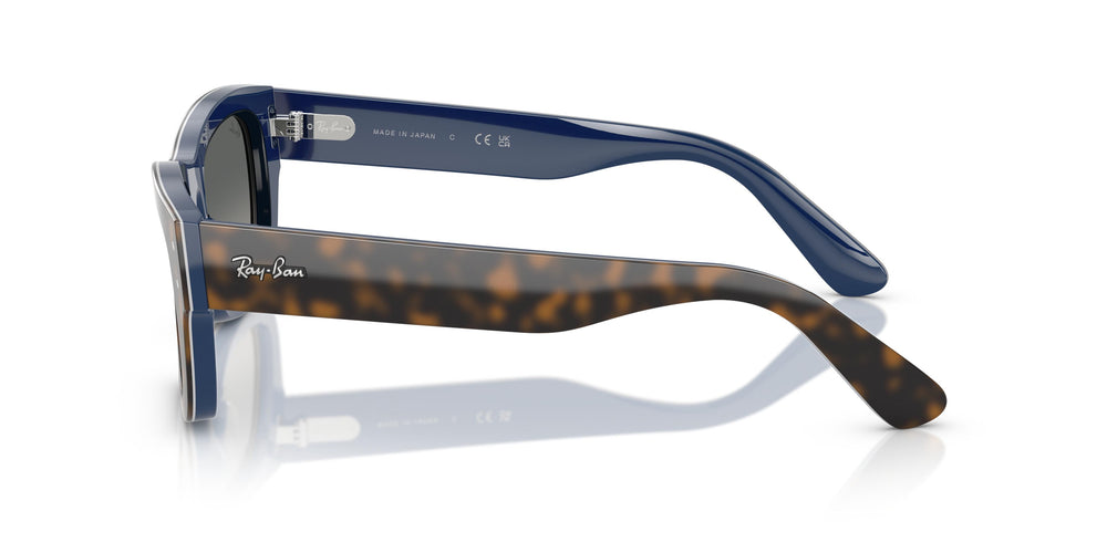 Ray-Ban RB7683S JOSEPH 140171 55