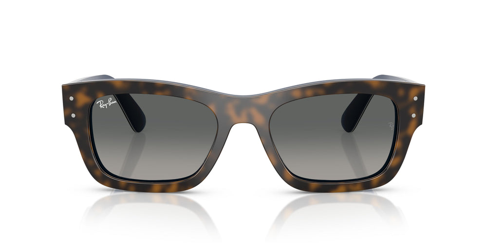 Ray-Ban RB7683S JOSEPH 140171 55