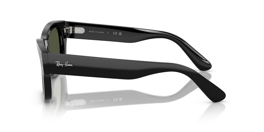 Ray-Ban RB7683S JOSEPH 901/31 55