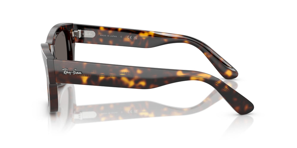 Ray-Ban RB7683S JOSEPH 902/B1 55