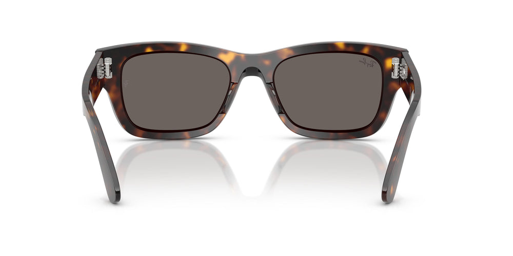 Ray-Ban RB7683S JOSEPH 902/B1 55