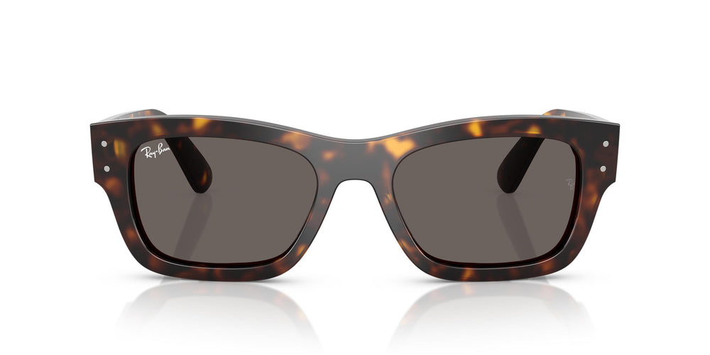 Ray-Ban RB7683S JOSEPH 902/B1 55