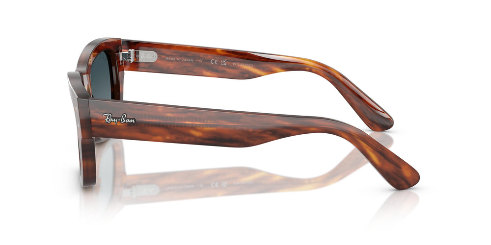 Ray-Ban RB7683S JOSEPH 954/S3 55