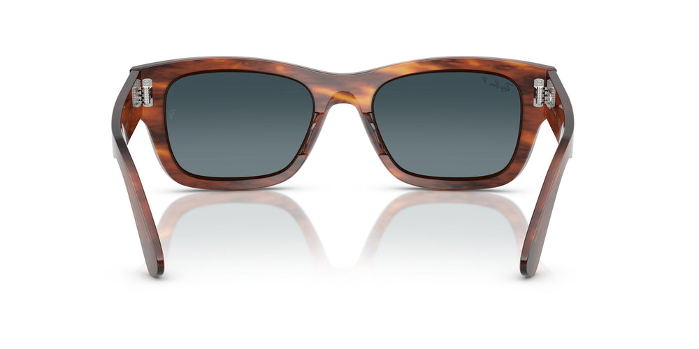 Ray-Ban RB7683S JOSEPH 954/S3 55