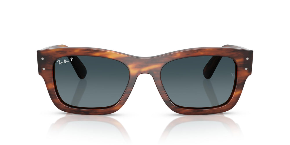 Ray-Ban RB7683S JOSEPH 954/S3 55