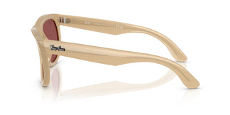 Ray-Ban RBR0502S WAYFARER REVERSE 678069 50