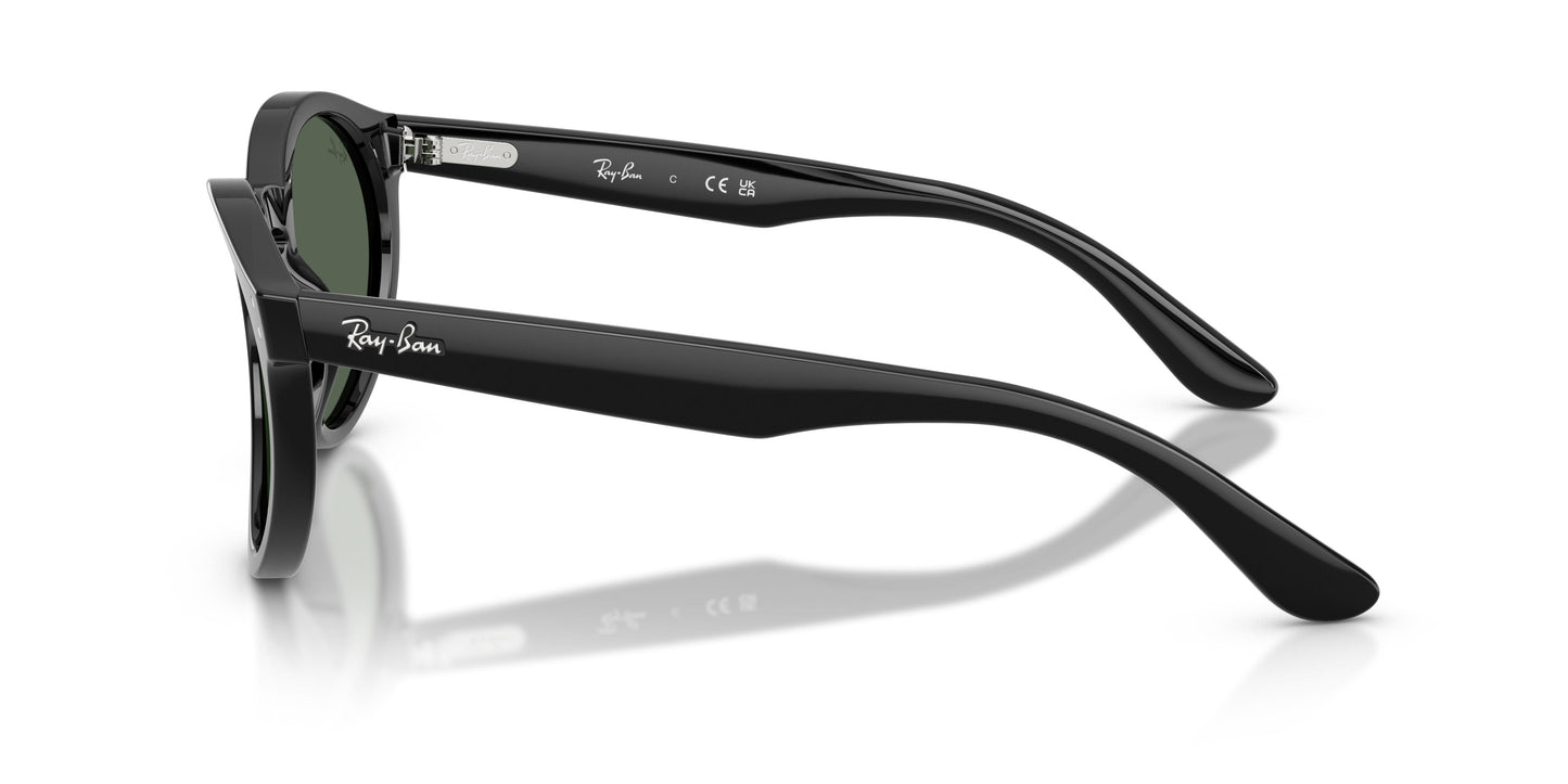 Ray-Ban RBR0505S 6677VR 52