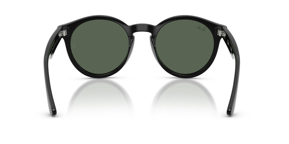 Ray-Ban RBR0505S 6677VR 52