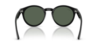 Ray-Ban RBR0505S 6677VR 52