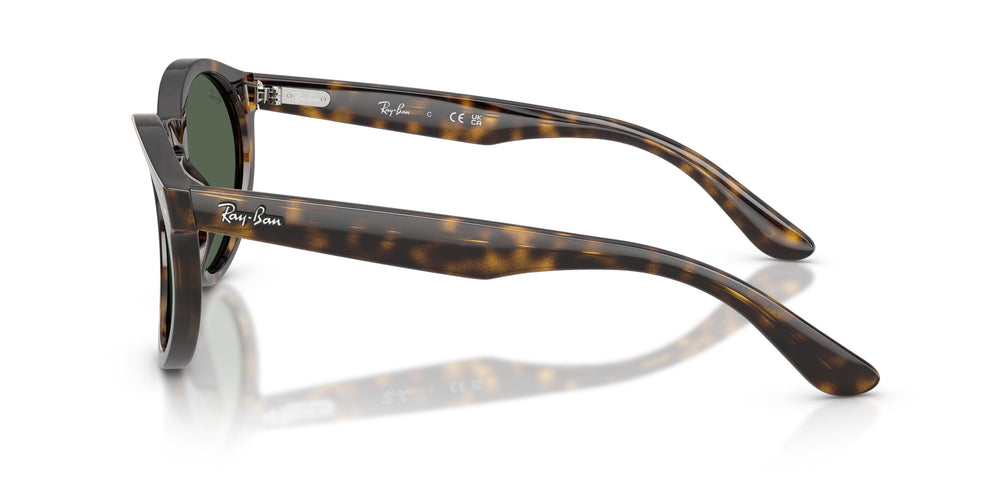 Ray-Ban RBR0505S 6790VR 52