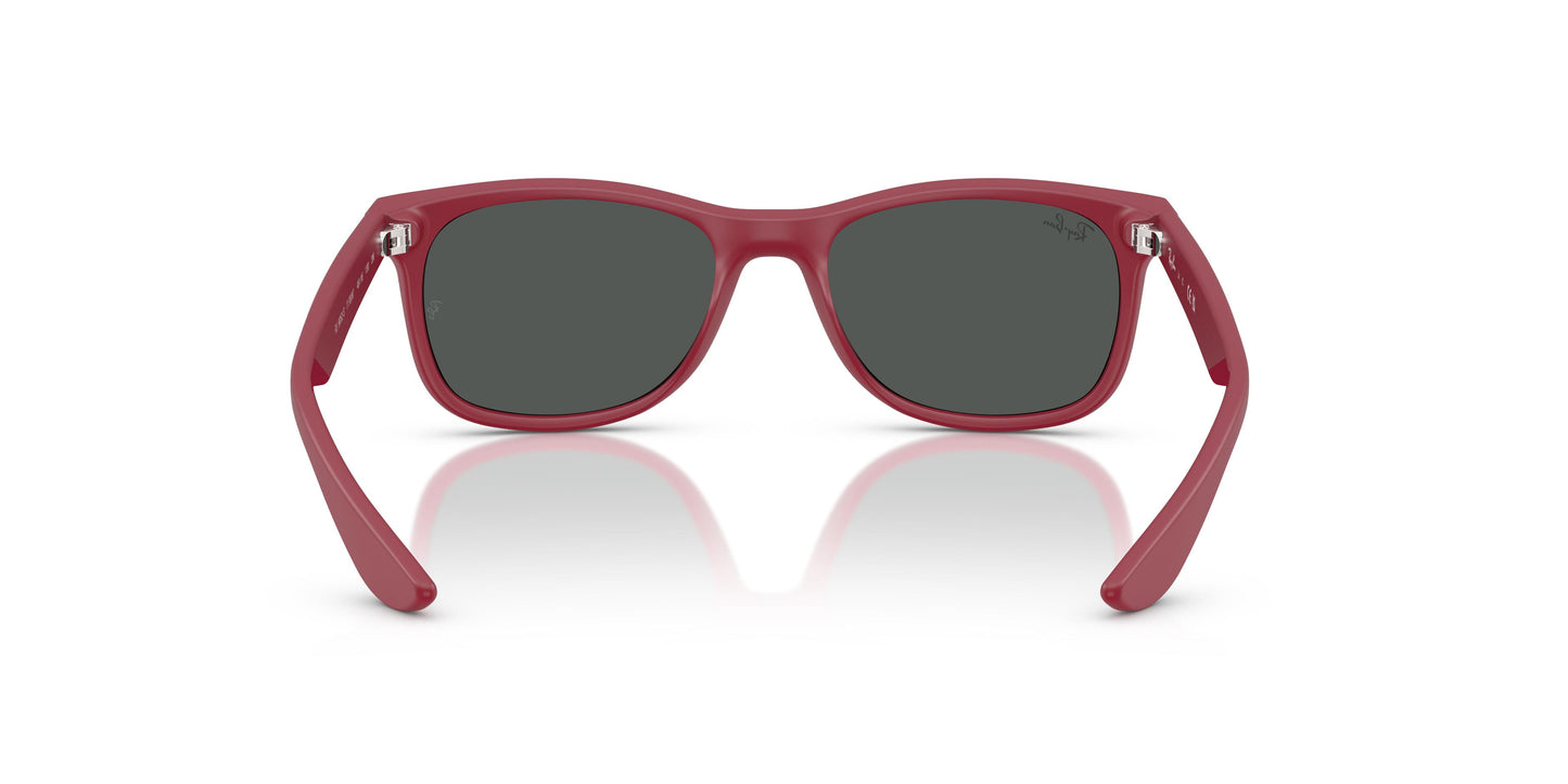 Ray-Ban Junior RJ9052S JUNIOR NEW WAYFARER 717887 47