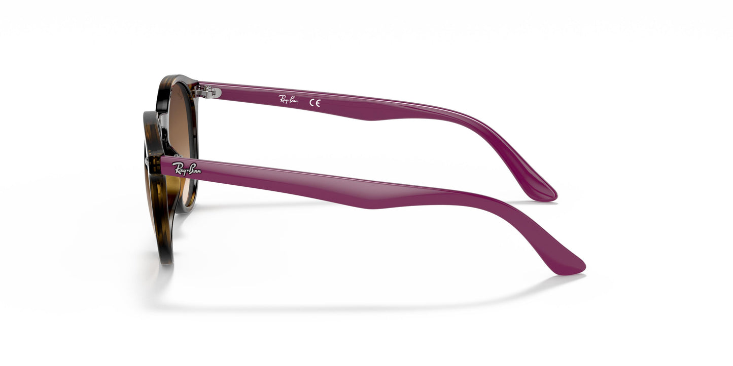 Ray-Ban Junior RJ9064S  704113 44