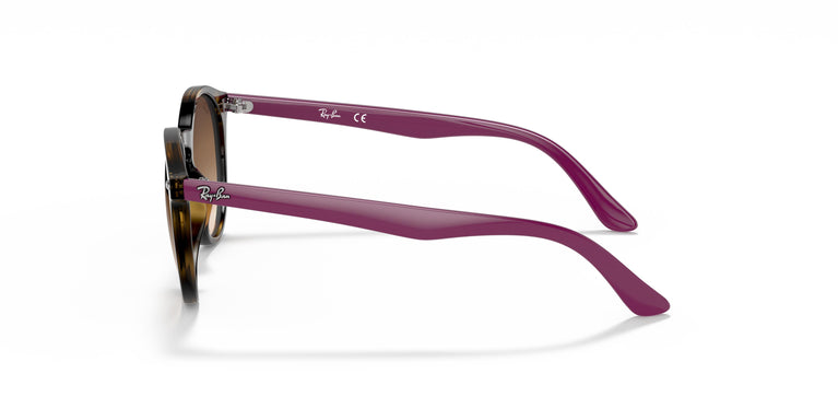 Ray-Ban Junior RJ9064S  704113 44