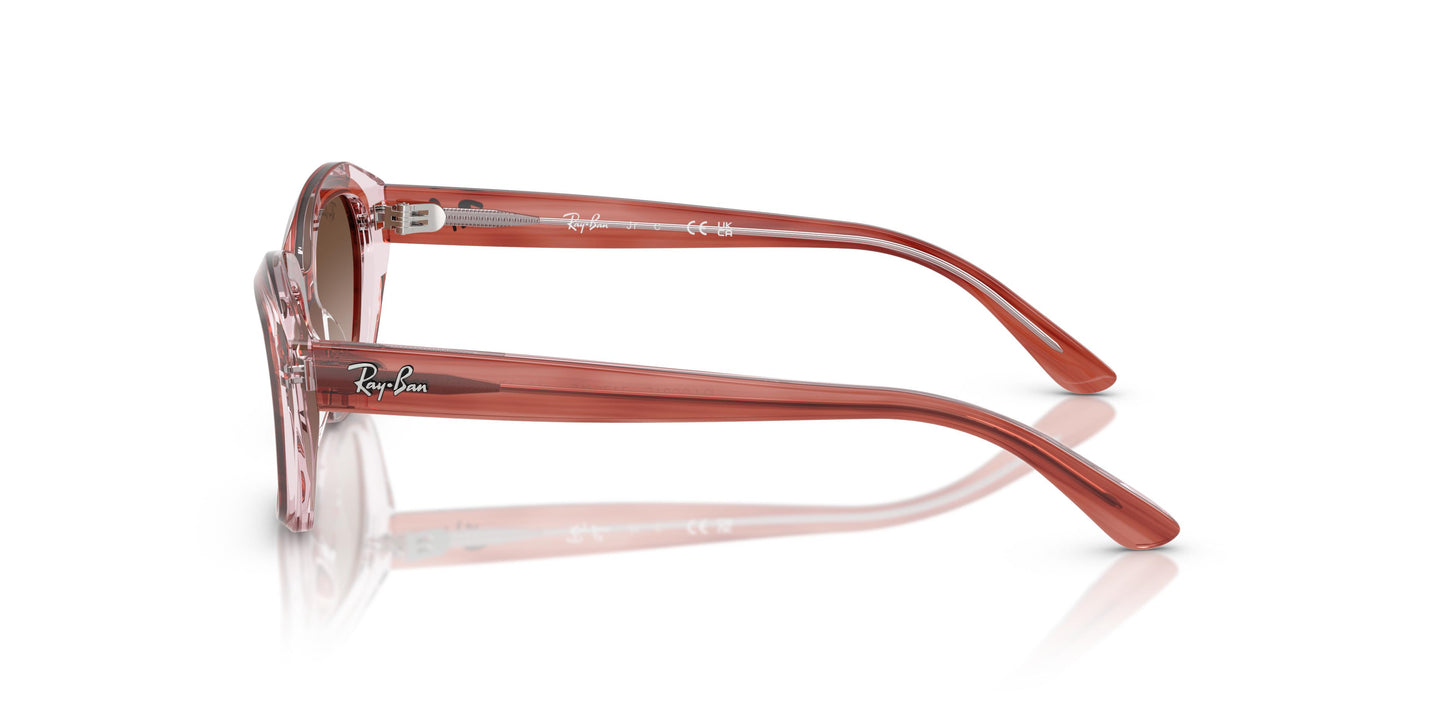 Ray-Ban Junior RJ9081S  717313 48