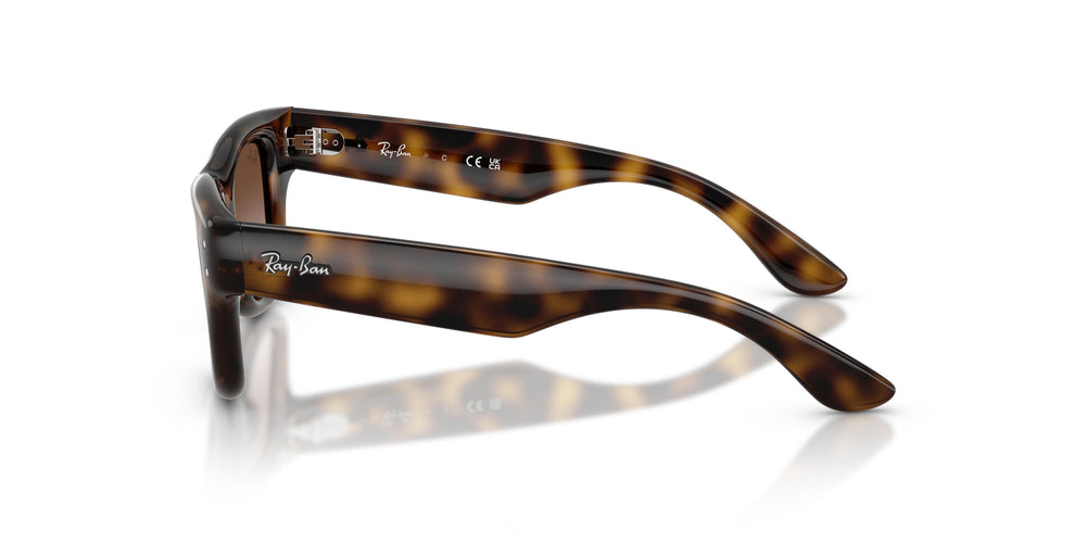 Ray-Ban Kids RJ9240S 152/13 42