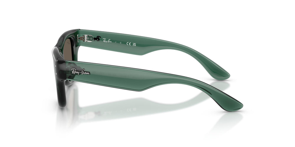 Ray-Ban Kids RJ9240S 7189/3 42