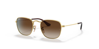 Ray-Ban Kids RJ9557S Kids FRANK 223/13 46