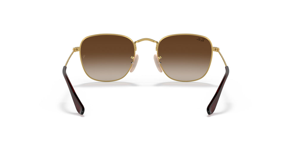 Ray-Ban Kids RJ9557S Kids FRANK 223/13 46