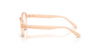 Ray-Ban Junior RY1905  3986 44