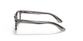 Ray-Ban Junior RY9083V JUNIOR BURBANK 3850 43