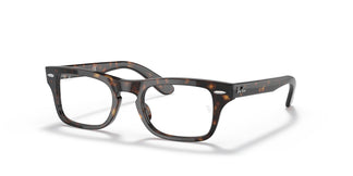 Ray-Ban Kids RY9083V BURBANK 3887 43